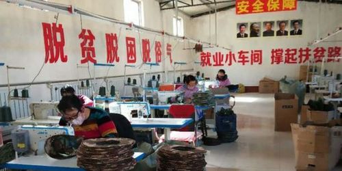 衡水市扶貧龍頭企業和扶貧車間全面復工，紡織品及針織品零售助力脫貧攻堅